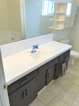 refinished sink and vanity