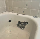 shotgun blasted bathtub damage
